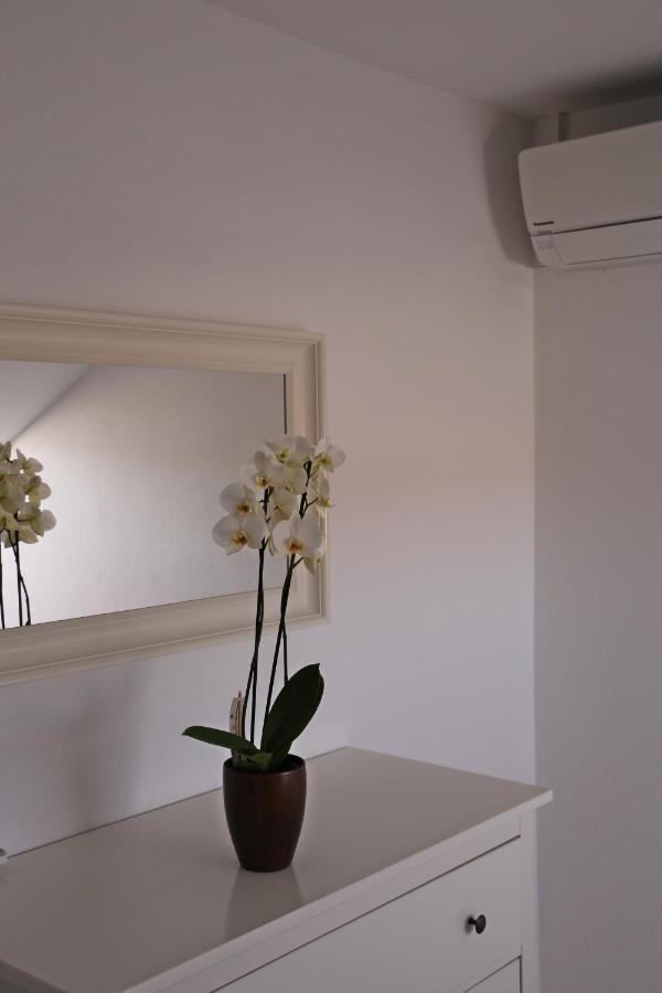 Pansion Marinka-Bire Rooms 鲁巴达 外观 照片